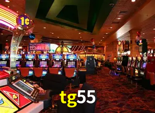 Descubra a Magia dos Jogos de Arcade no tg55